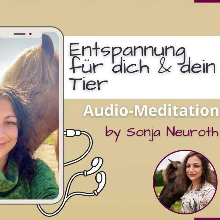 Entspannung für dich & dein Tier (Meditation)