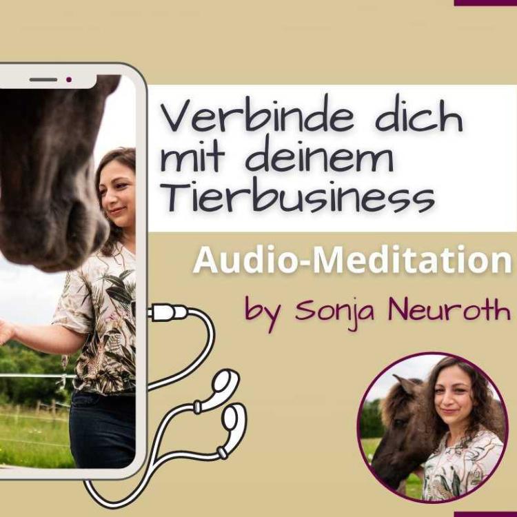 Verbinde dich mit deinem Tierbusiness (Meditation)