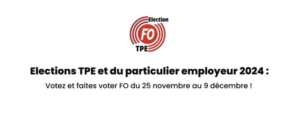Élection TPE et du particulier employeur 2024