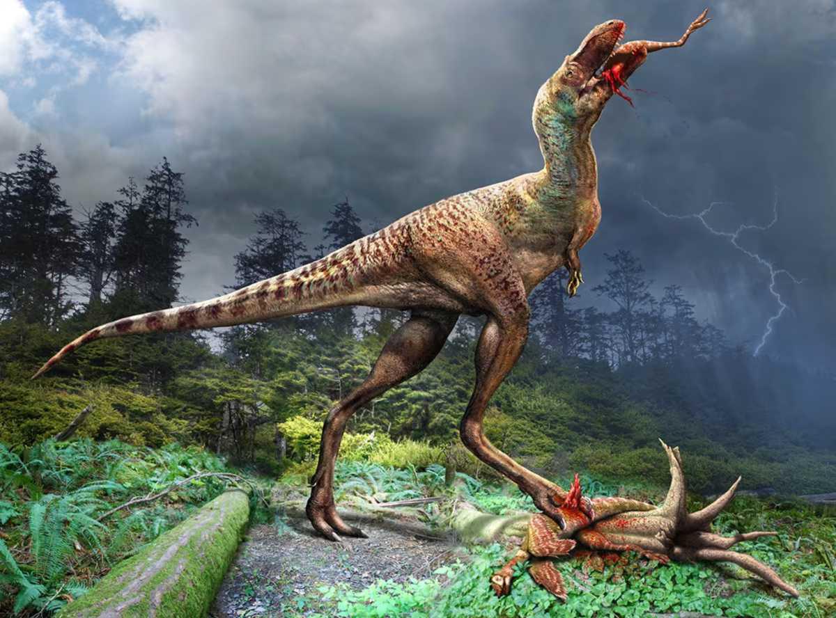 اكتشاف حفرية لتيناصور مع وجبته الأخيرة في معدته