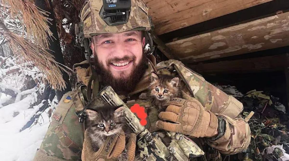 الجيش الأوكراني يحضر القطط إلى الجبهة لمحاربة الفئران