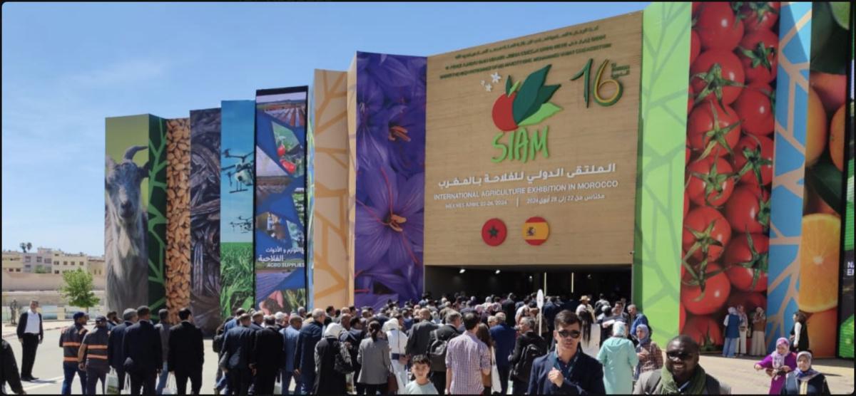 أبرز أرقام الدورة الـ 16 للملتقى الدولي للفلاحة بالمغرب أبرز أرقام الدورة الـ 16 للملتقى الدولي للفلاحة بالمغرب