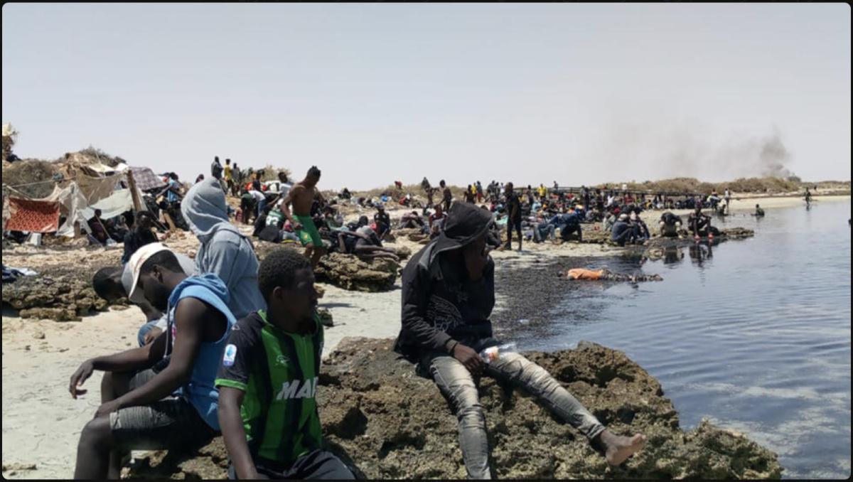 حقول الزيتون ضالة المهاجرين في تونس بانتظار عملية عبور محفوفة بالمخاطر 