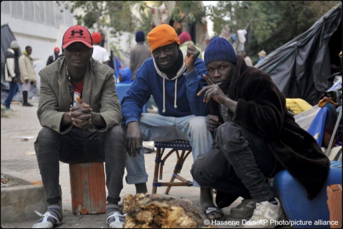 حقول الزيتون ضالة المهاجرين في تونس بانتظار عملية عبور محفوفة بالمخاطر  حقول الزيتون ضالة المهاجرين في تونس بانتظار عملية عبور محفوفة بالمخاطر