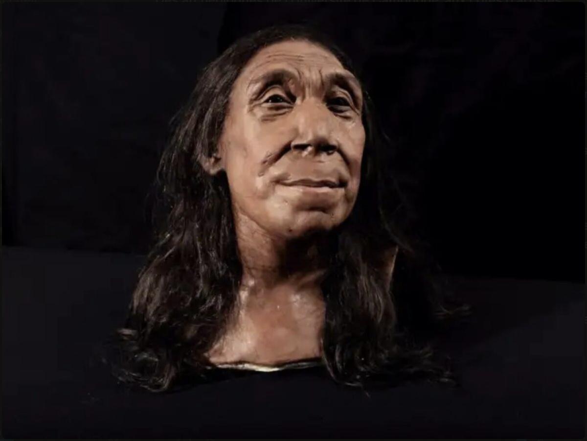 علماء آثار بريطانيون يعيدون تشكيل وجه امرأة نياندرتالية عمرها 75000 سنة