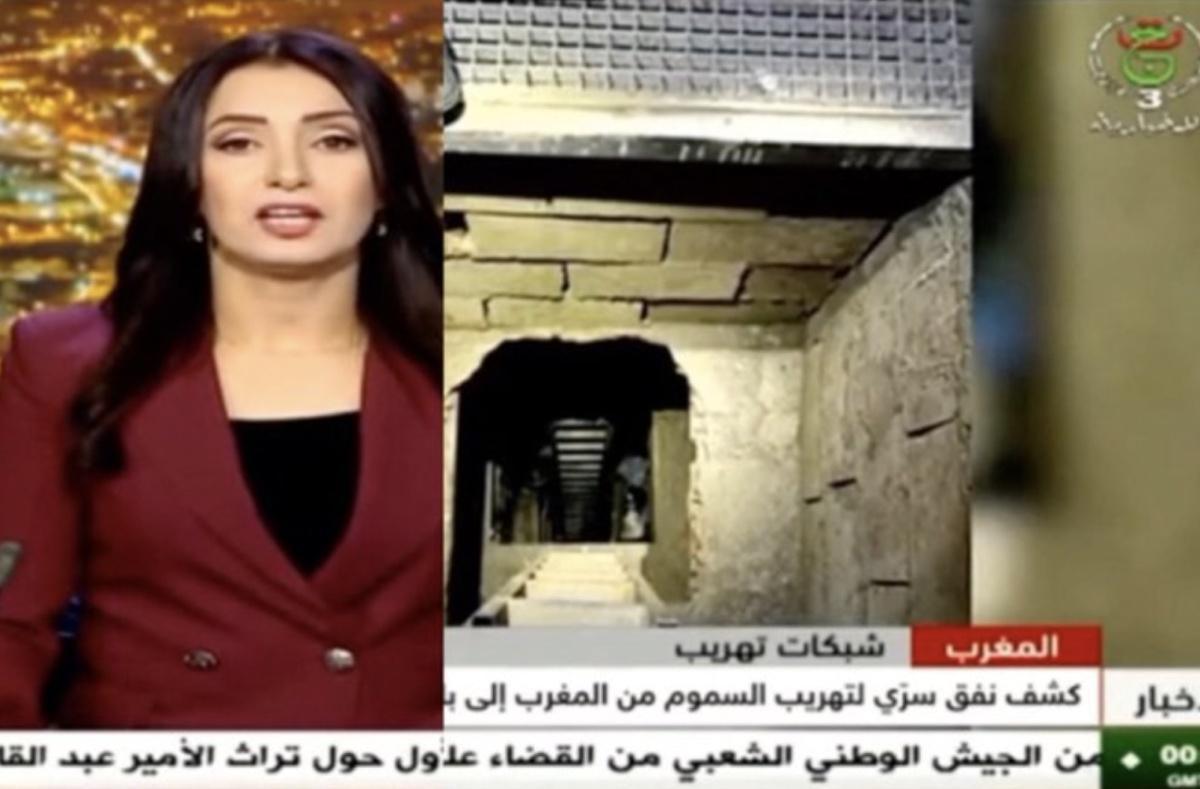 في الجزائر، الأخبار المزيفة ليست حادثاً إعلامياً: إنها عقيدة الدولة