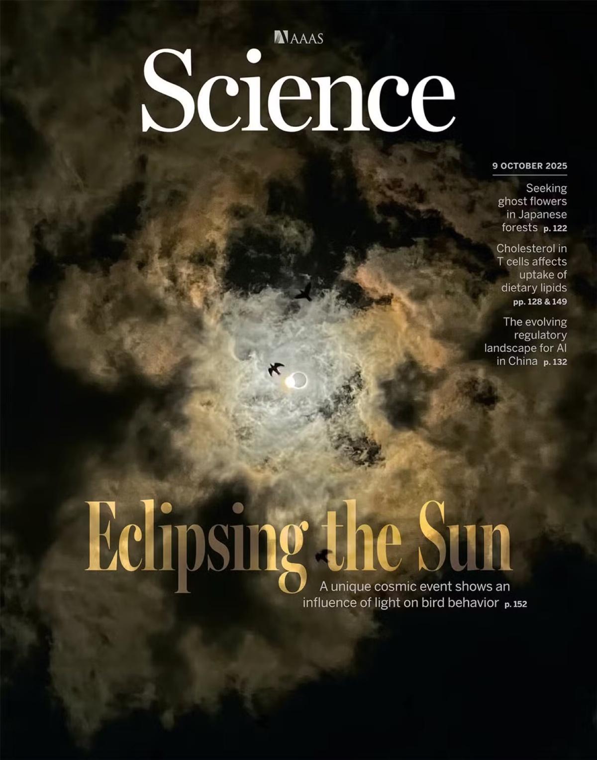 كسوف شمسي كلي يكشف اضطراب الطيور... ومجلة “ساينس” تسلط الضوء على لغز الضوء والحياة كسوف شمسي كلي يكشف اضطراب الطيور... ومجلة “ساينس” تسلط الضوء على لغز الضوء والحياة