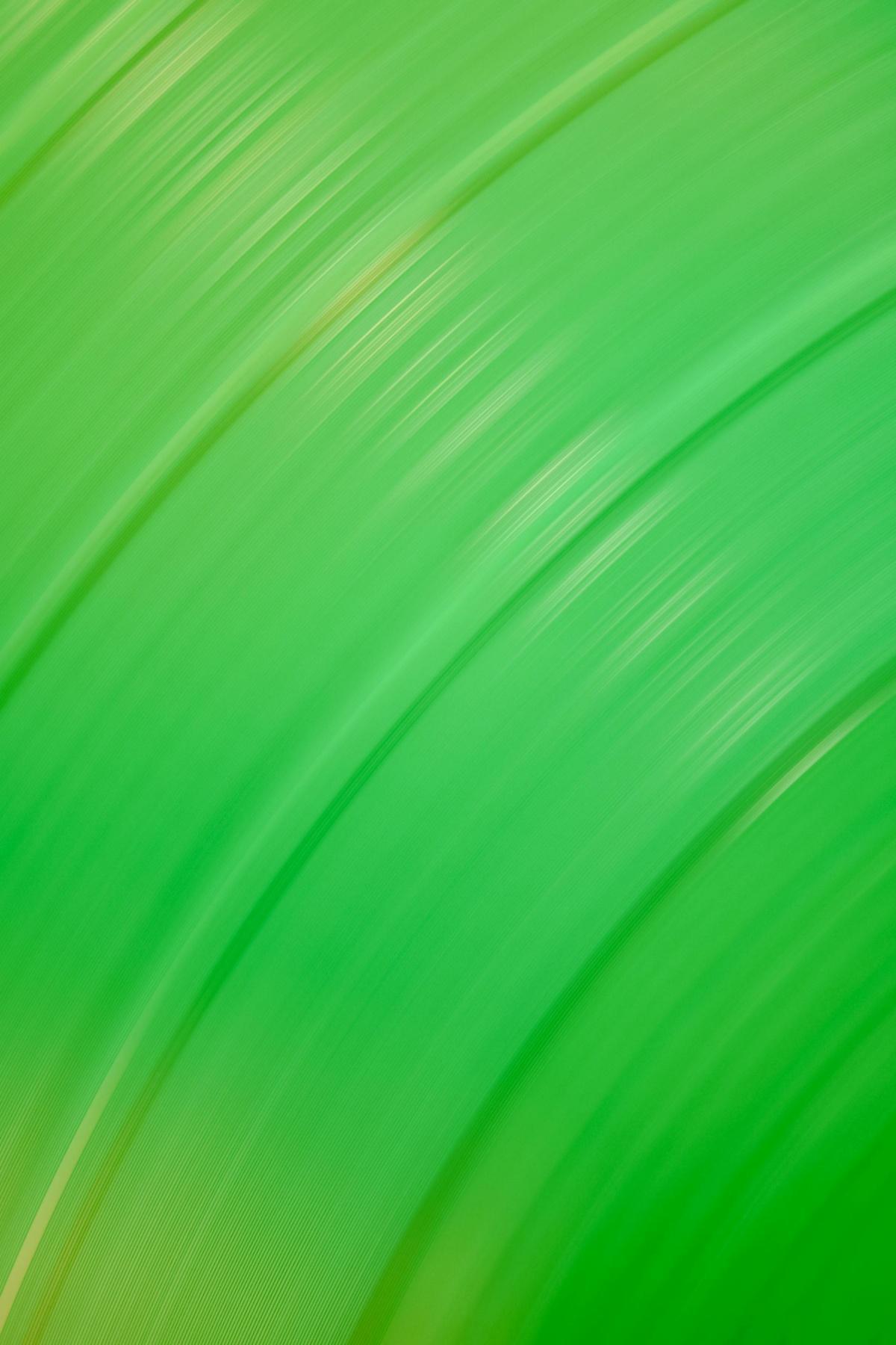 ذكاء اصطناعي يحوّل خلفية خضراء إلى مشهد إعلاني مكتمل في لحظة ذكاء اصطناعي يحوّل خلفية خضراء إلى مشهد إعلاني مكتمل في لحظة