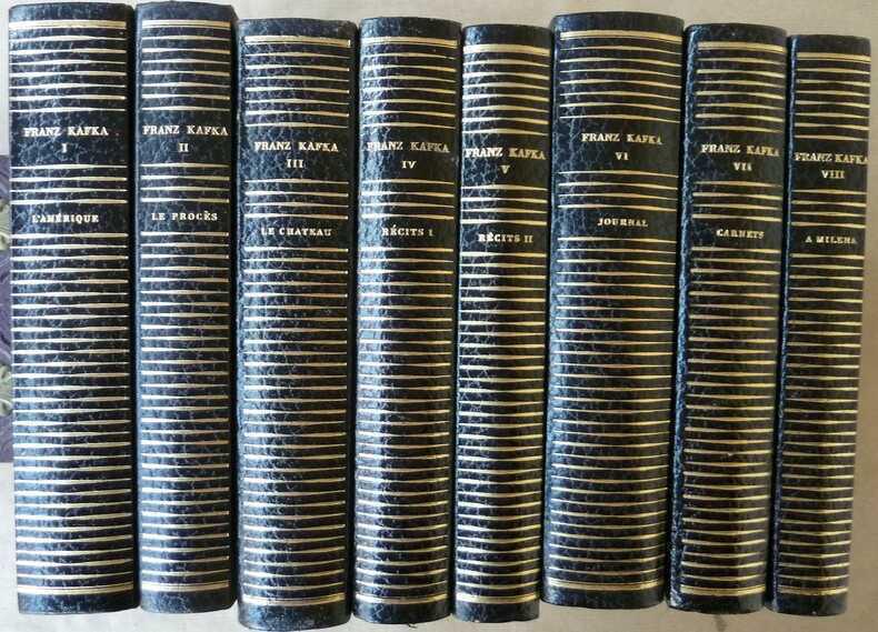 كيف يحوّل “المسخ” كافكا إلى مرآة للاقتصاد والأسرة والهوية كيف يحوّل “المسخ” كافكا إلى مرآة للاقتصاد والأسرة والهوية