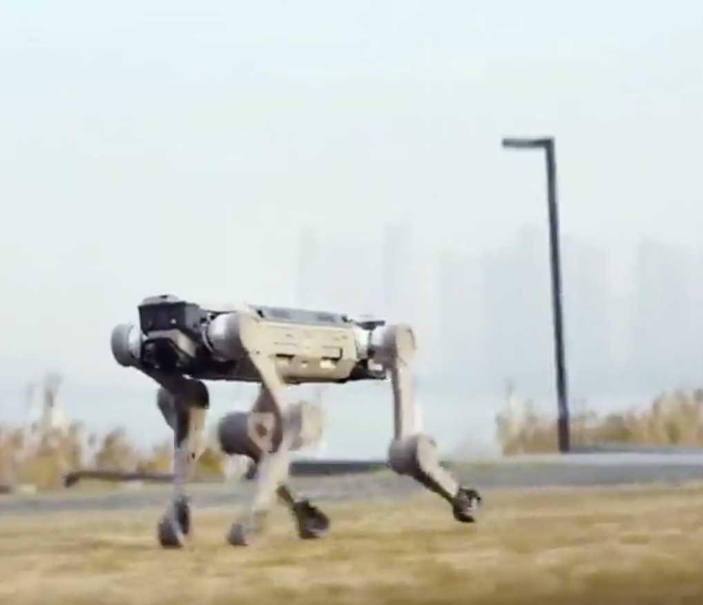 كلب آلي برؤية جديدة للعمل في البر والماء كلب آلي برؤية جديدة للعمل في البر والماء