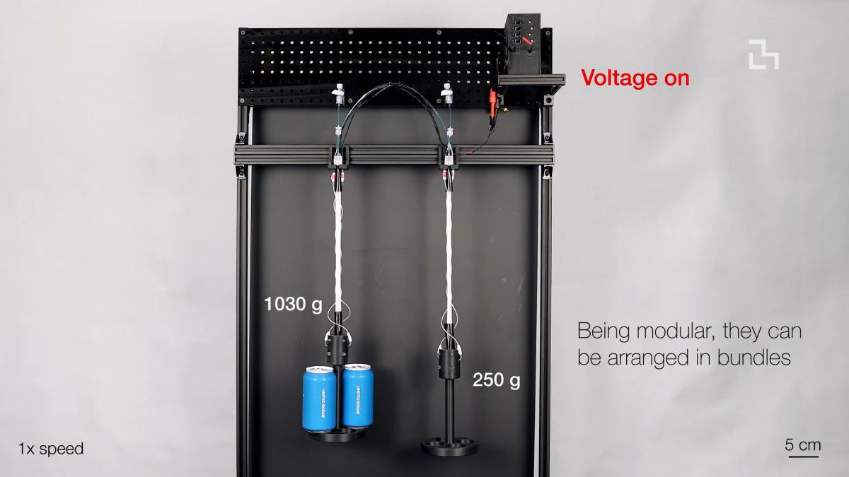 العضلات الاصطناعية الليفية في MIT: خطوة جديدة في الروبوتات اللينة العضلات الاصطناعية الليفية في MIT: خطوة جديدة في الروبوتات اللينة
