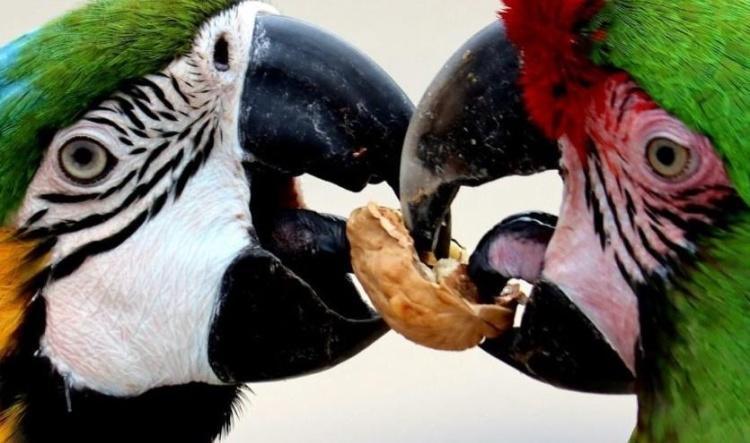 لماذا يختار الناس عدم مشاركة الأخبار؟