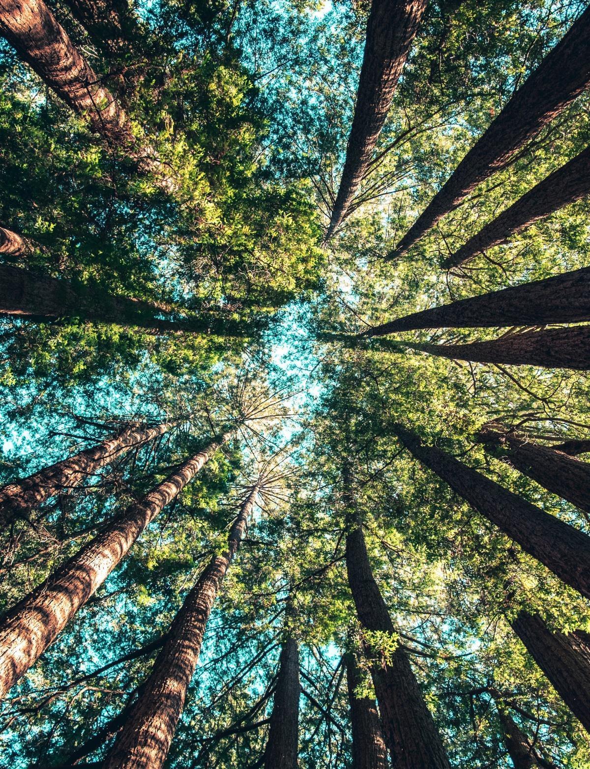 Lorem Ipsum 2