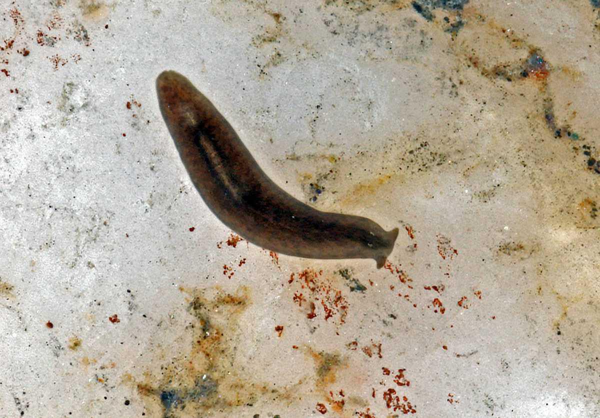 6 - Z‘Plätschere vom Wasser 6 - Z‘Plätschere vom Wasser
