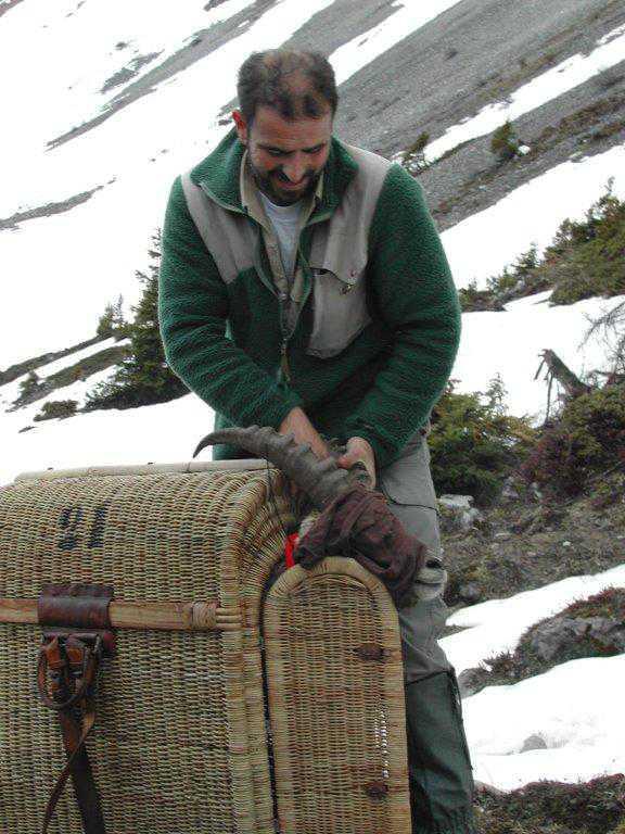 8 - Z`Schtibock-Hüpfe 8 - Z`Schtibock-Hüpfe