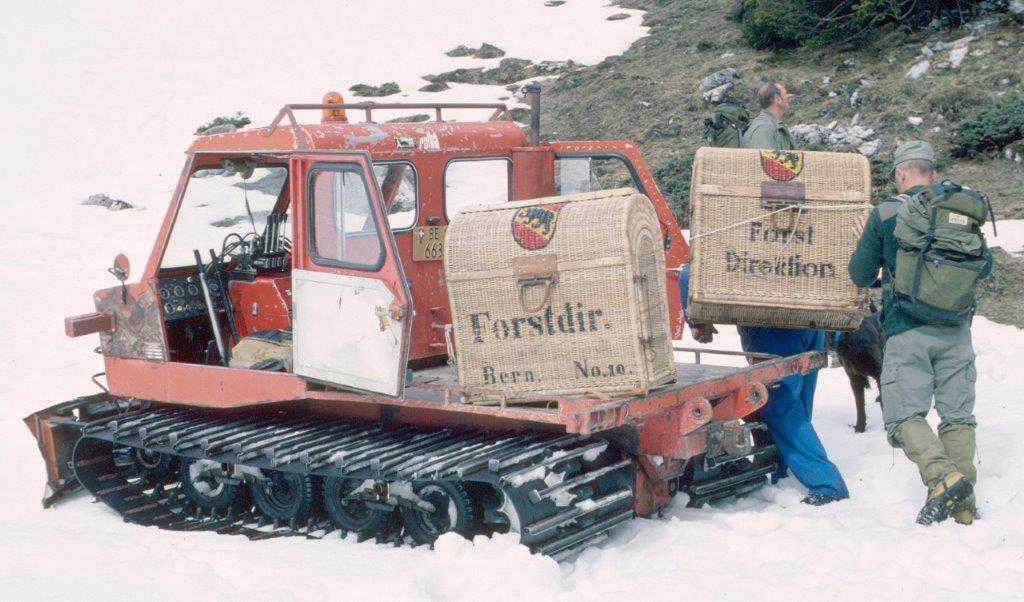 8 - Z`Schtibock-Hüpfe 8 - Z`Schtibock-Hüpfe