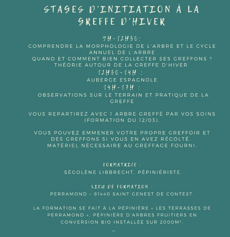 Stage de greffes