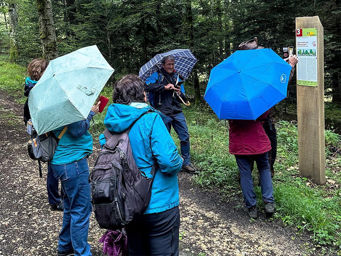 Die 11. Solothurner Waldwanderung - Interaktiv Die 11. Solothurner Waldwanderung - Interaktiv
