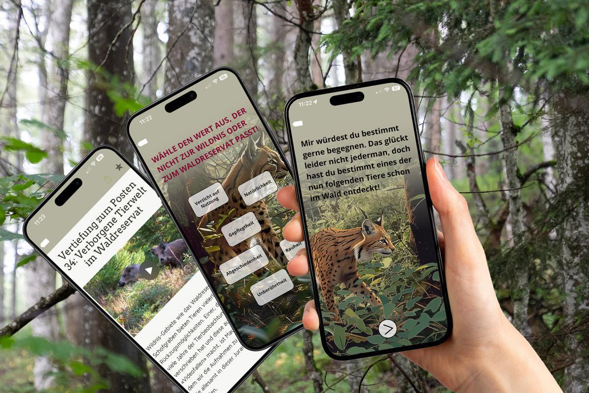 Die 11. Solothurner Waldwanderung - Interaktiv Die 11. Solothurner Waldwanderung - Interaktiv