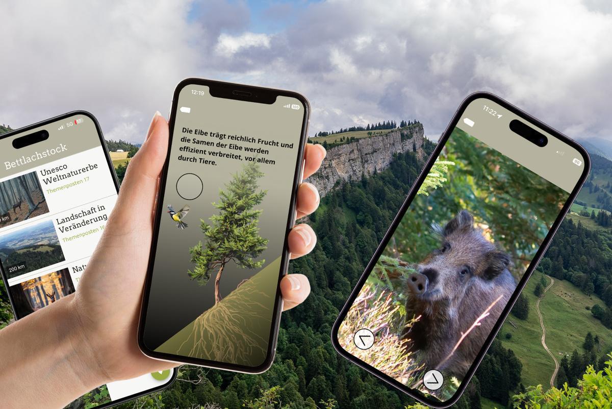 Die 11. Solothurner Waldwanderung - Interaktiv Die 11. Solothurner Waldwanderung - Interaktiv