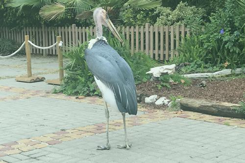 Jardim Zoológico de Lisboa