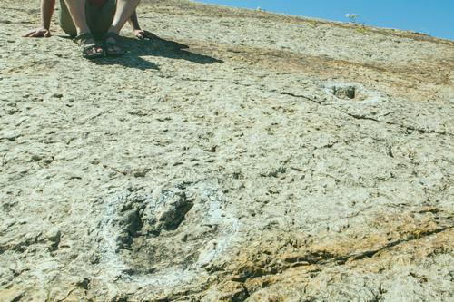 Monumento Natural dos Lagosteiros