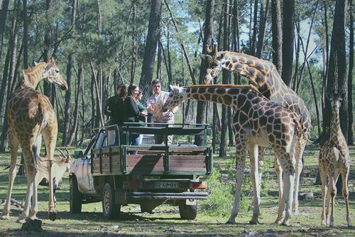 Badoca Safari Park