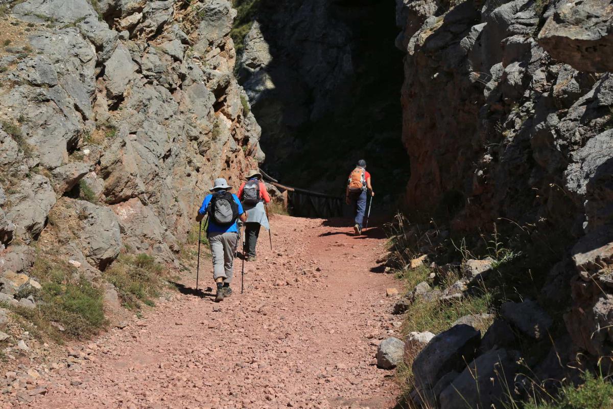 PR AS-15. Ruta los Lagos de Saliencia PR AS-15. Ruta los Lagos de Saliencia