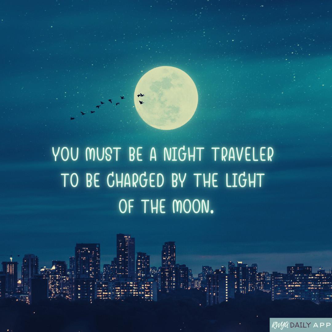 NIGHT TRAVELER NIGHT TRAVELER