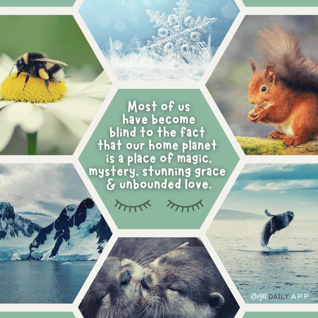 NOV 10, 2023 NOV 10, 2023