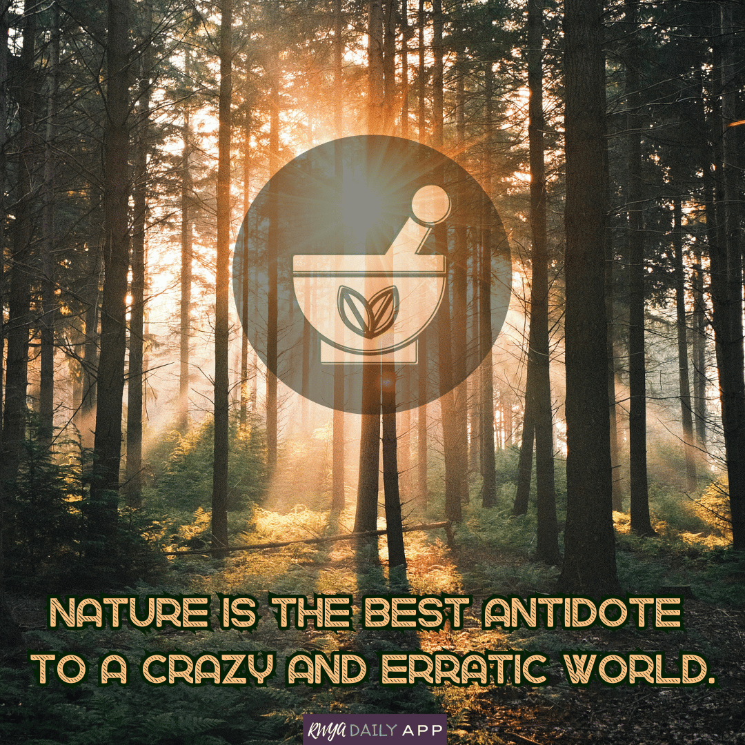 Nature is the best antidote to a crazy and erratic world. 