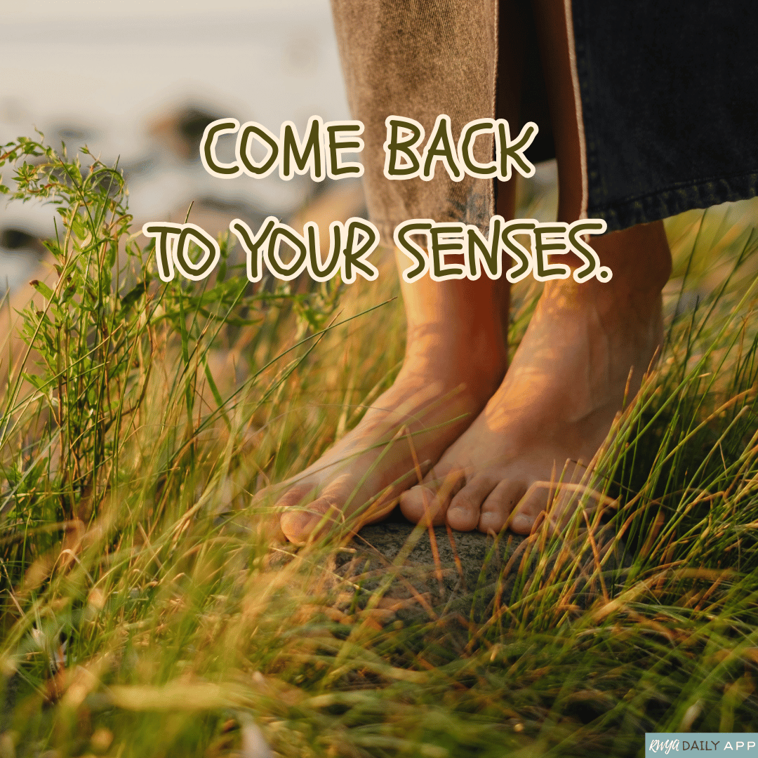 Come back to your senses.