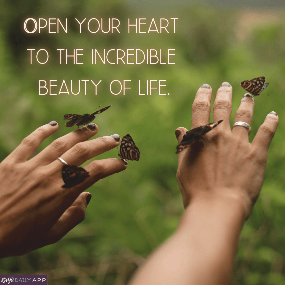 Open your heart to the incredible beauty of life. 