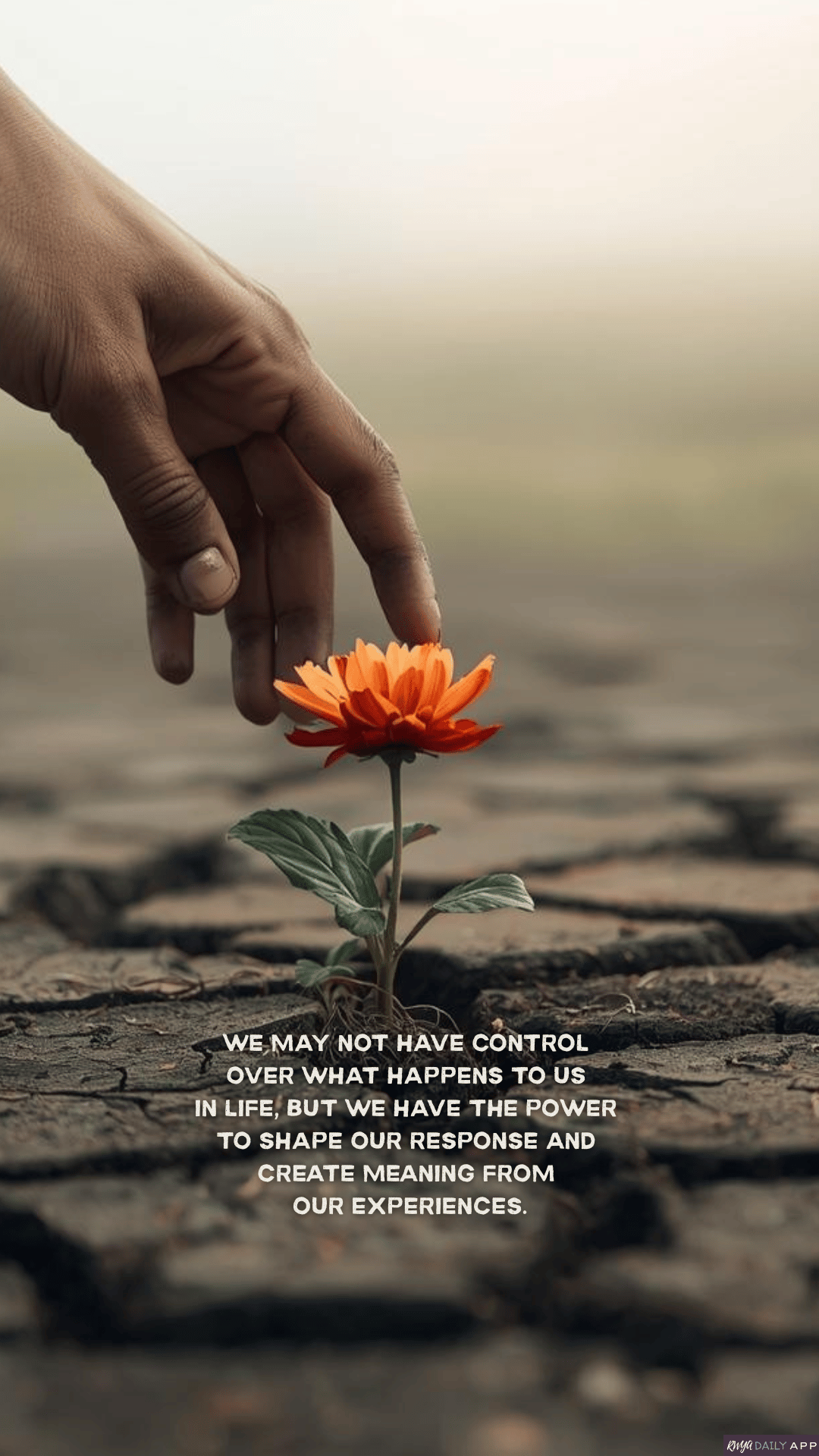 WALLPAPER We may not have control over what happens to us in life, but we have the power to shape our response and create meaning from our experiences.