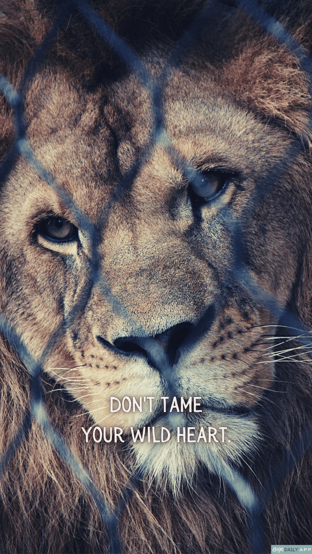 WALLPAPER Don't tame your wild heart. 