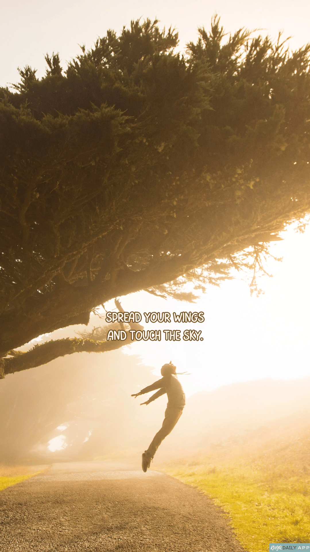 WALLPAPER Spread your wings and touch the sky. 