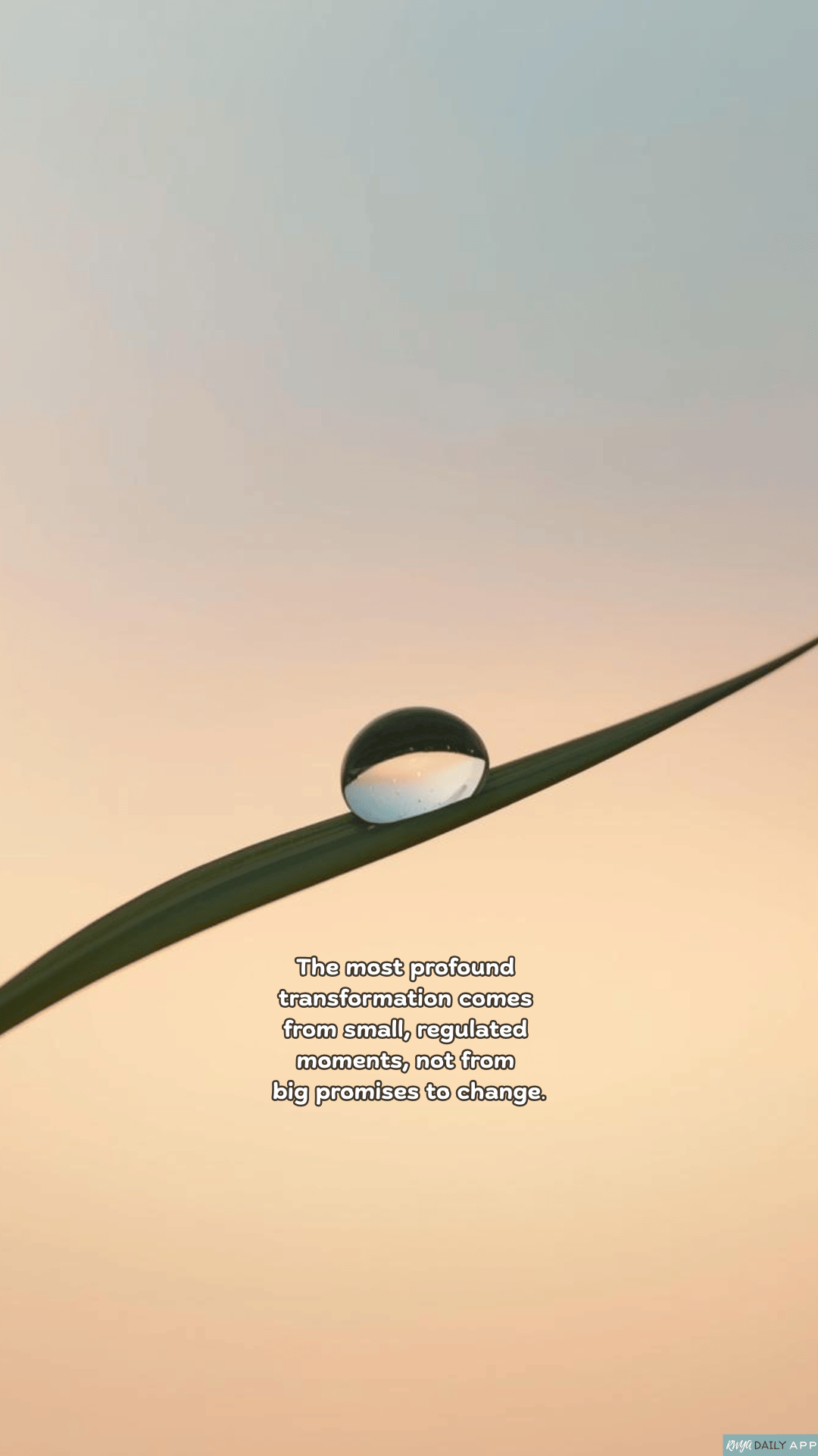 WALLPAPER The most profound transformation comes from small, regulated moments, not from big promises to change.