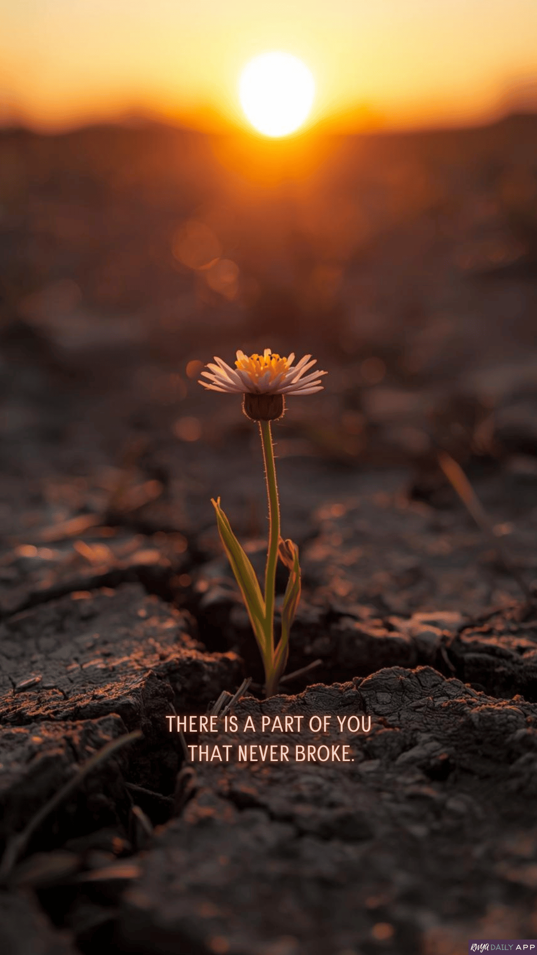 WALLPAPER There is a part of you that never broke. 