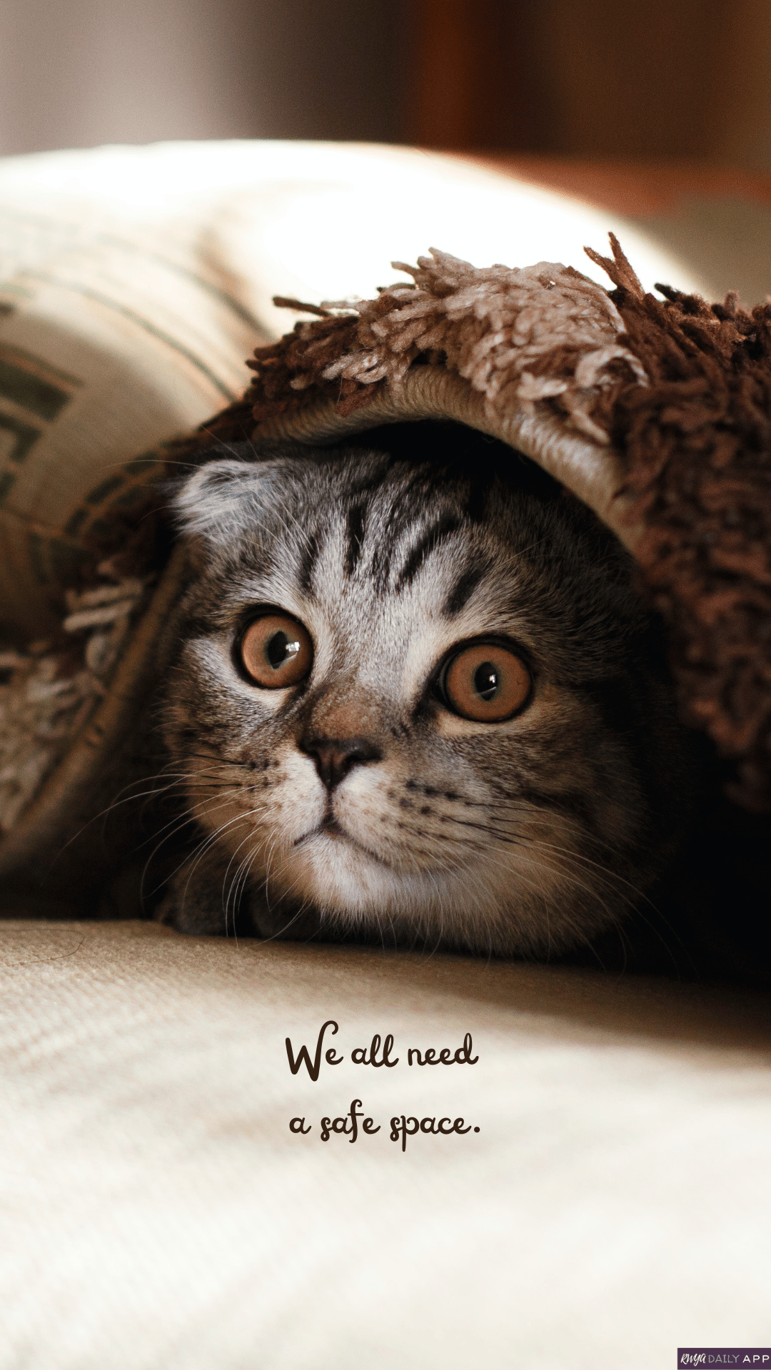 WALLPAPER We all need a safe space. 