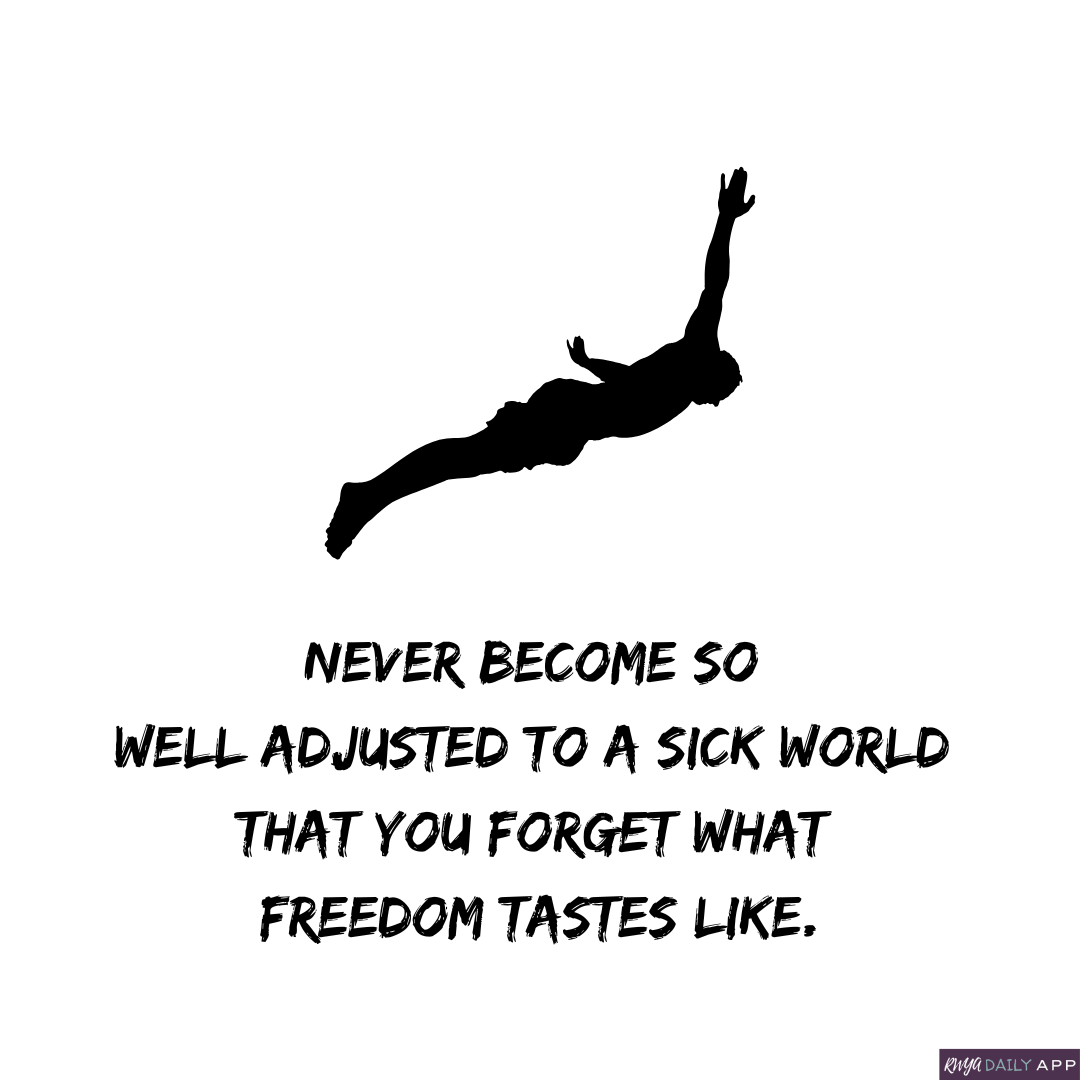 Never become so well adjusted to a sick world that you forget what freedom tastes like. 