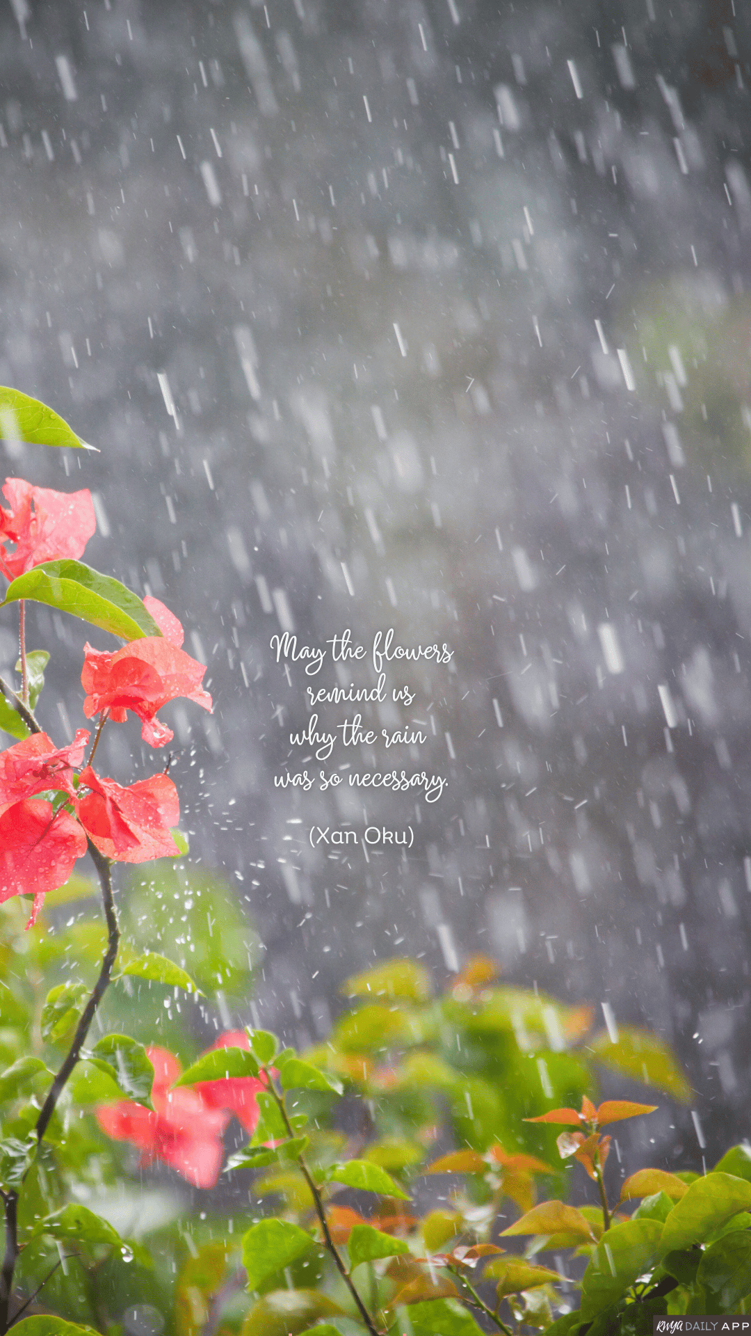 WALLPAPER May the flowers remind us why the rain was so necessary. (Xan Oku)