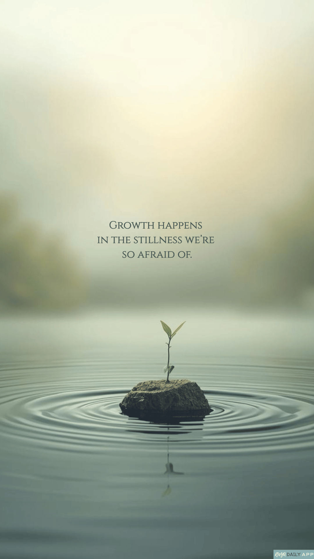 WALLPAPER Growth happens in the stillness we’re so afraid of.
