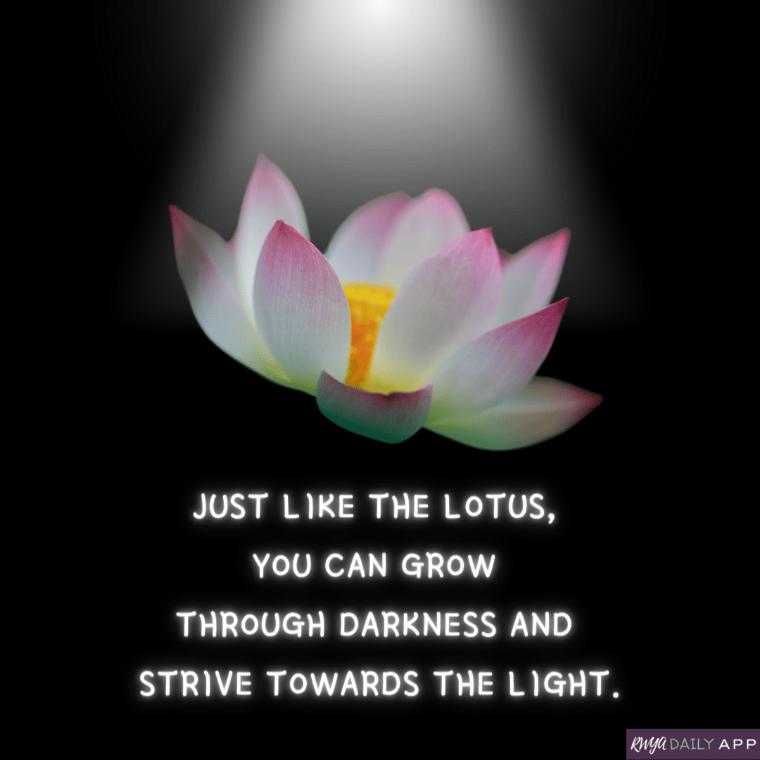 Just like the lotus, you can grow through darkness and strive towards the light.