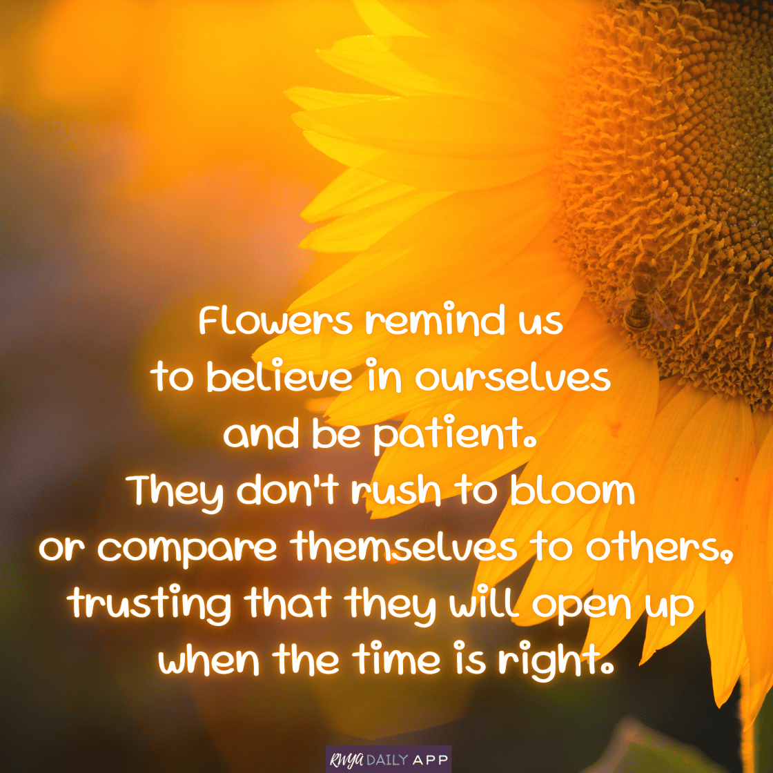 Flowers remind us to believe in ourselves and be patient.  They don’t rush to bloom or compare themselves to others, trusting that they will open up when the time is right.