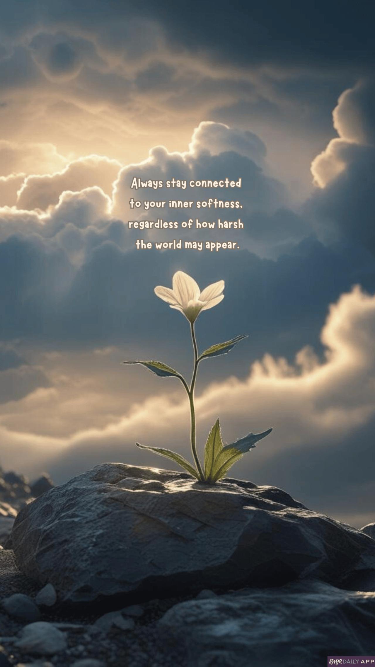WALLPAPER Always stay connected to your inner softness, regardless of how harsh the world may appear. 
