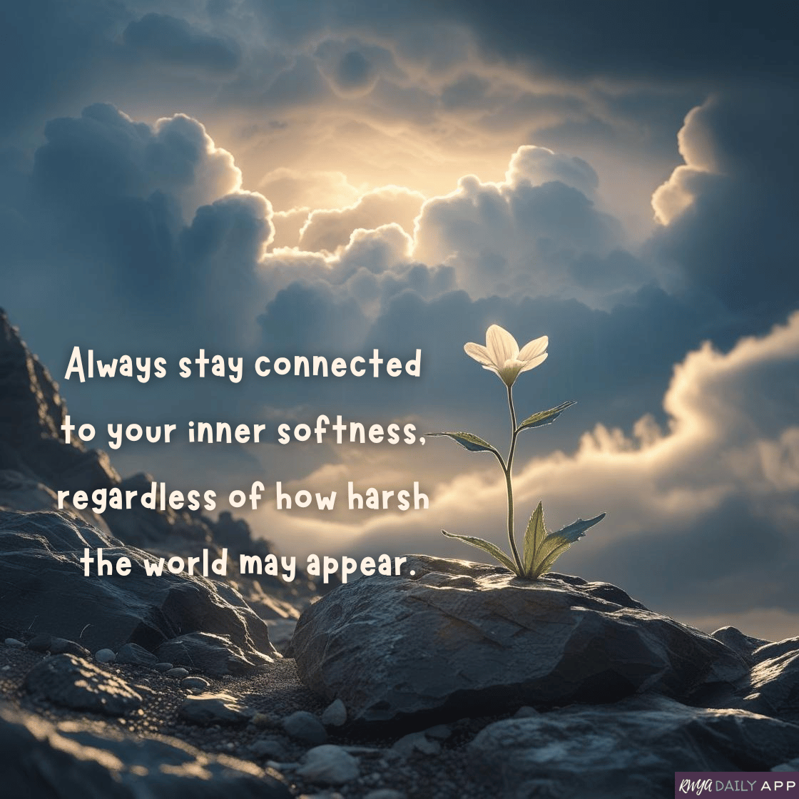 Always stay connected to your inner softness, regardless of how harsh the world may appear. 
