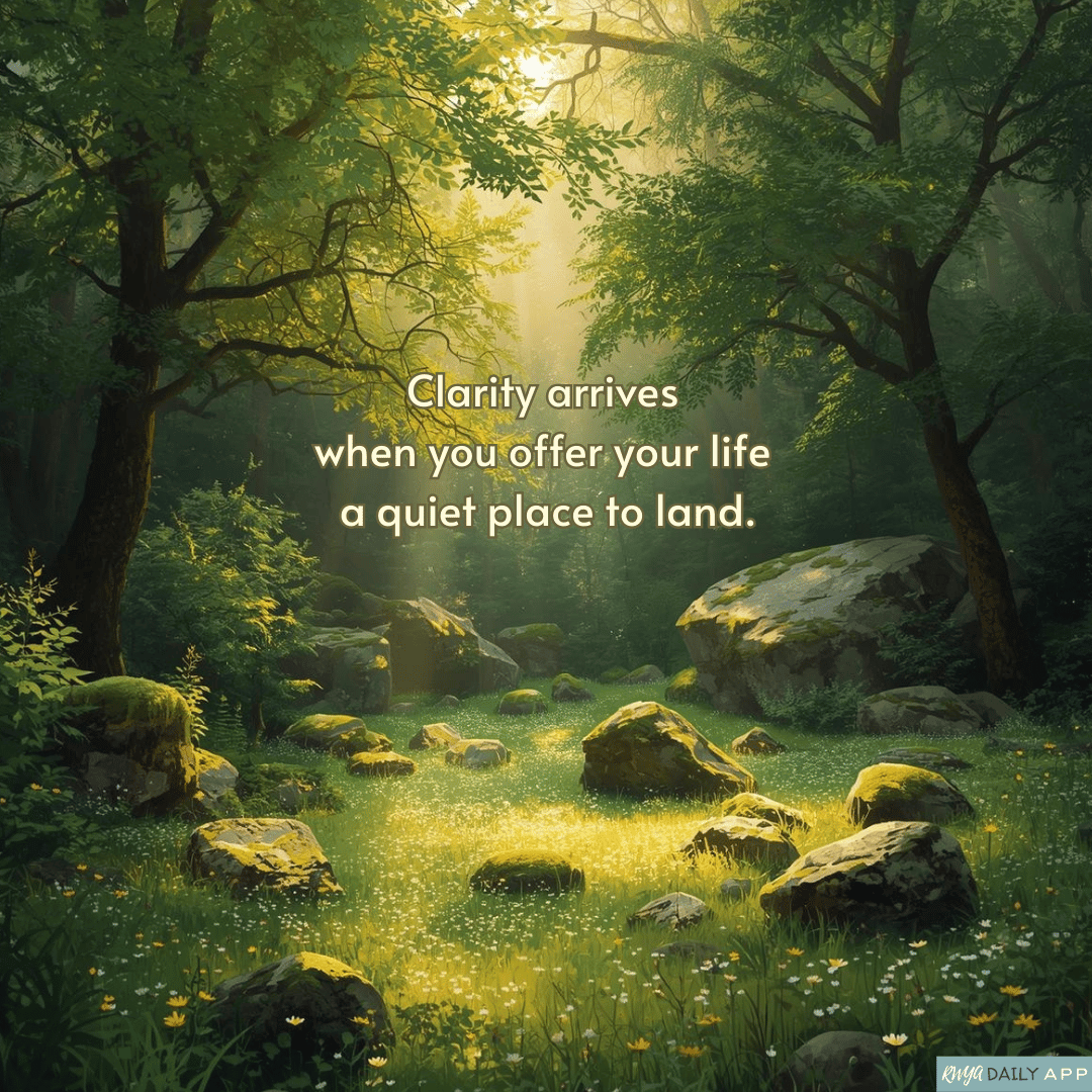 Clarity arrives when you offer your life a quiet place to land. 