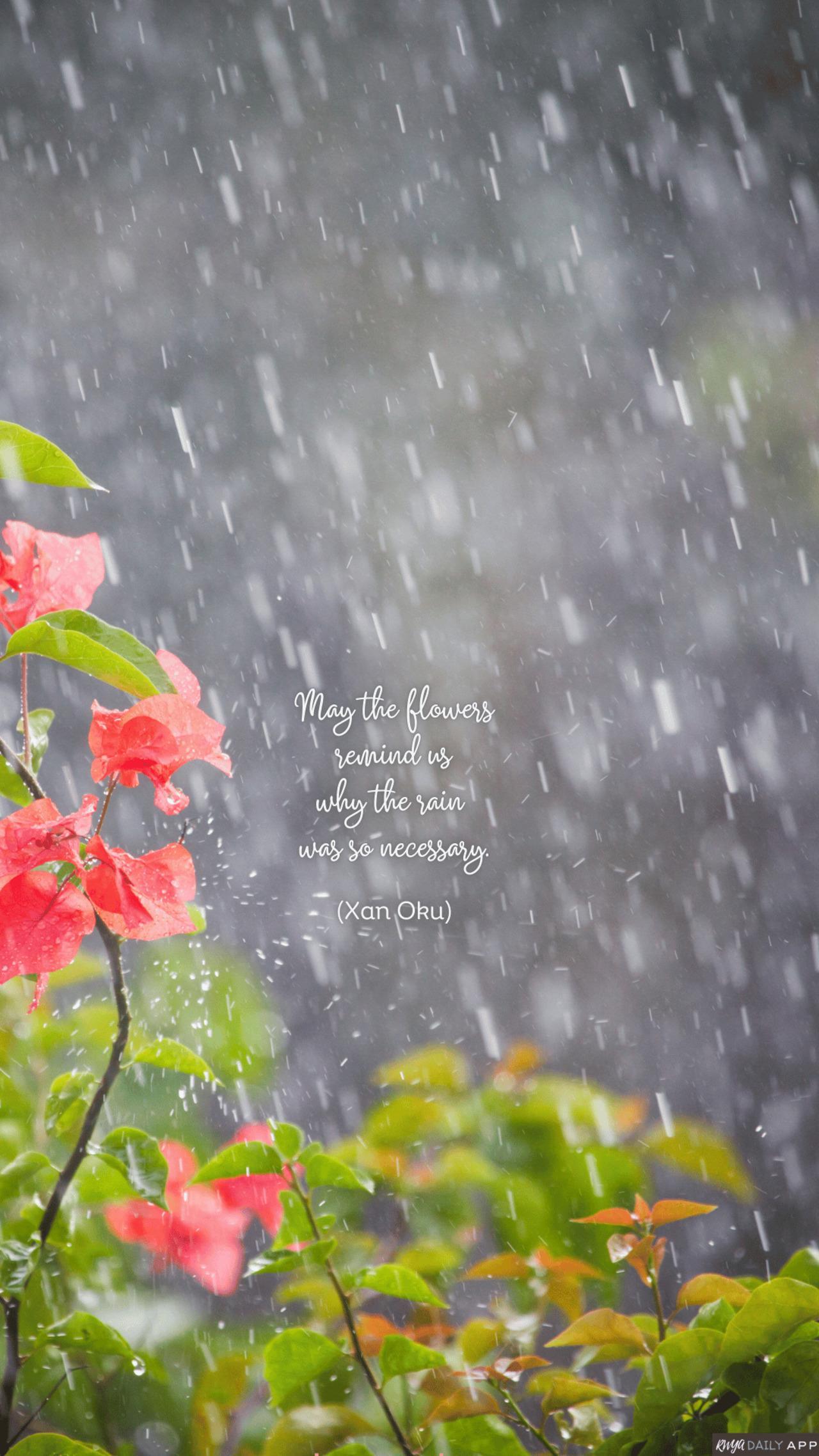 WALLPAPER May the flowers remind us why the rain was so necessary. (Xan Oku)