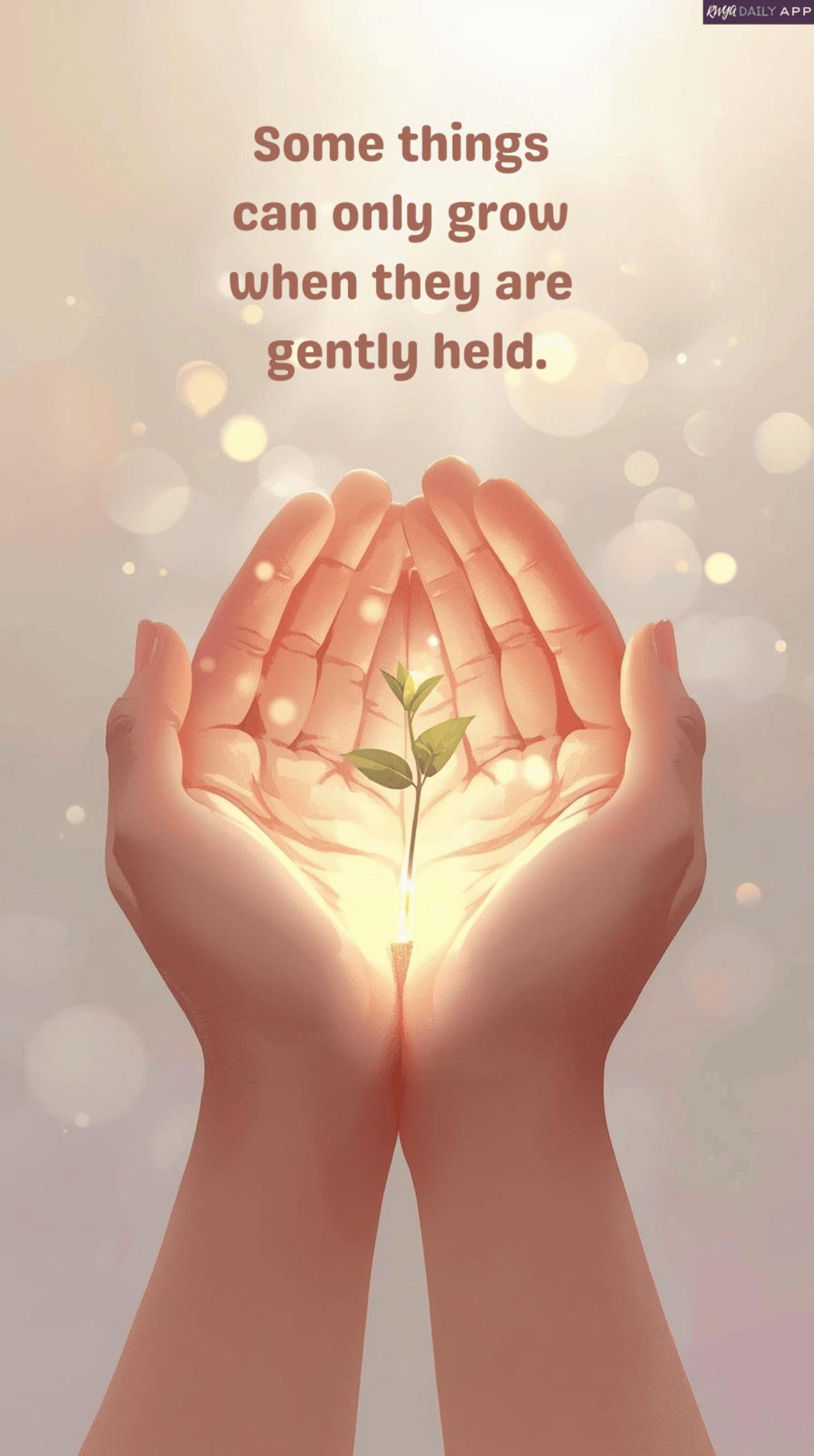 Some things can only grow when they are gently held.