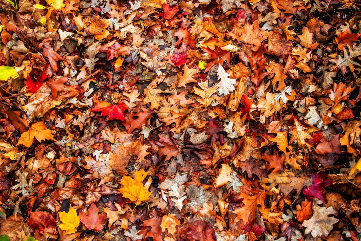 #CITAMAG.75 #CITAMAG.75